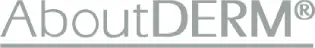 A gray and white logo for the word " detroit ".